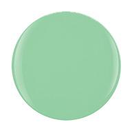 Gelish Dip Powder 1610085 Mint Chocolate Chip