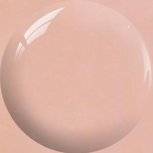 SNS Dipping Powder NC25